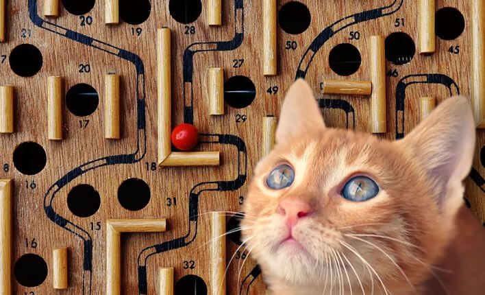 Katzenspielzeug Intelligenzsspielzeug für Katzen
