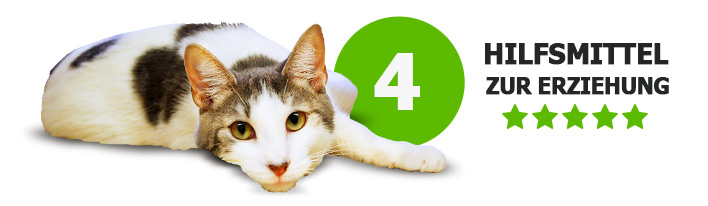 4 Hilfsmittel für Katzenerziehung