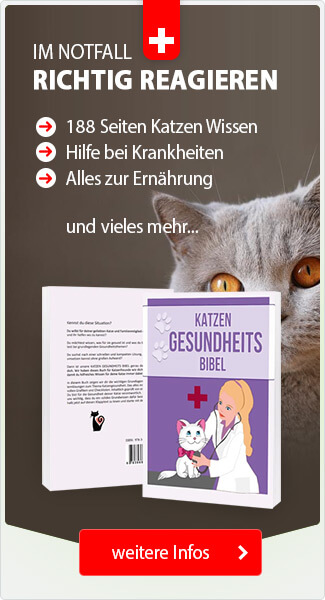 Katzen Gesundheits Buch